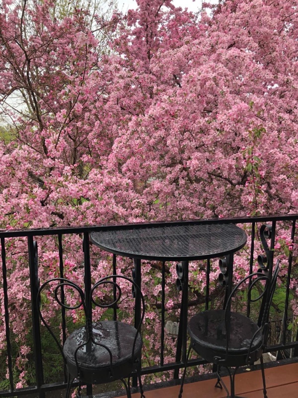 Chamberlin Inn image 5